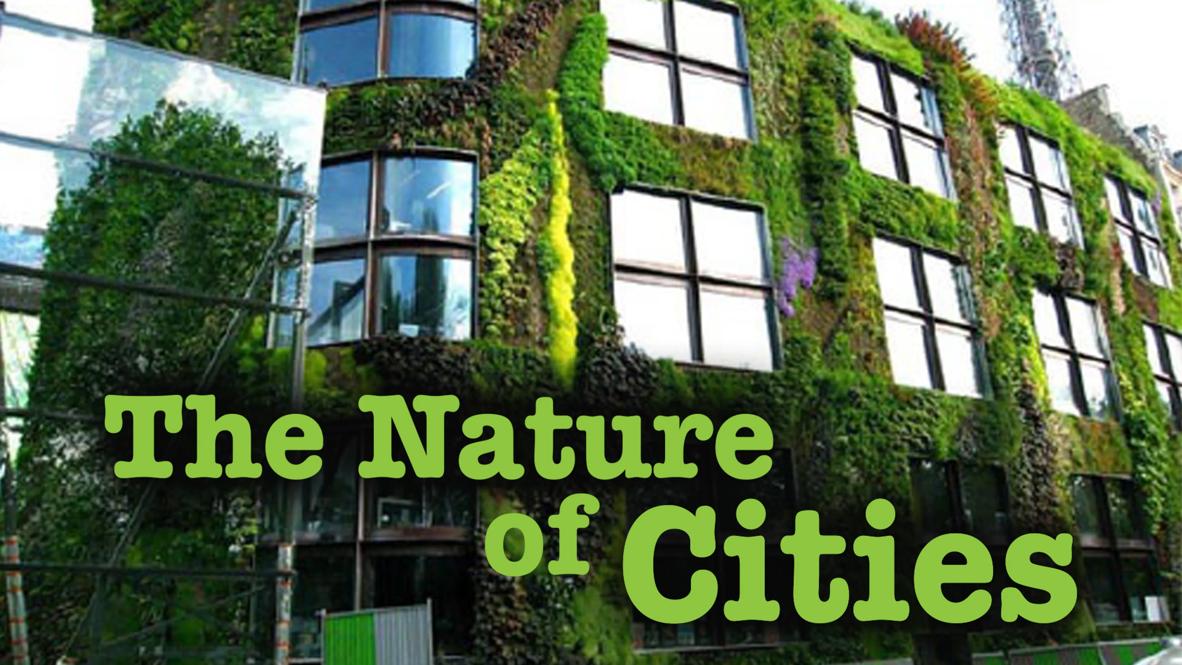 The Nature of Cities poster
